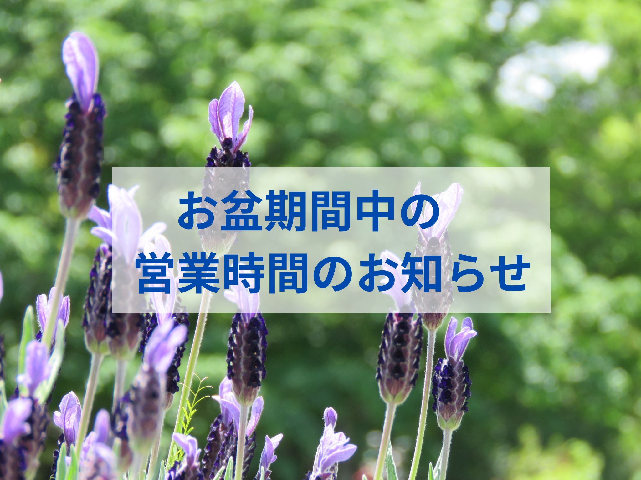 記事