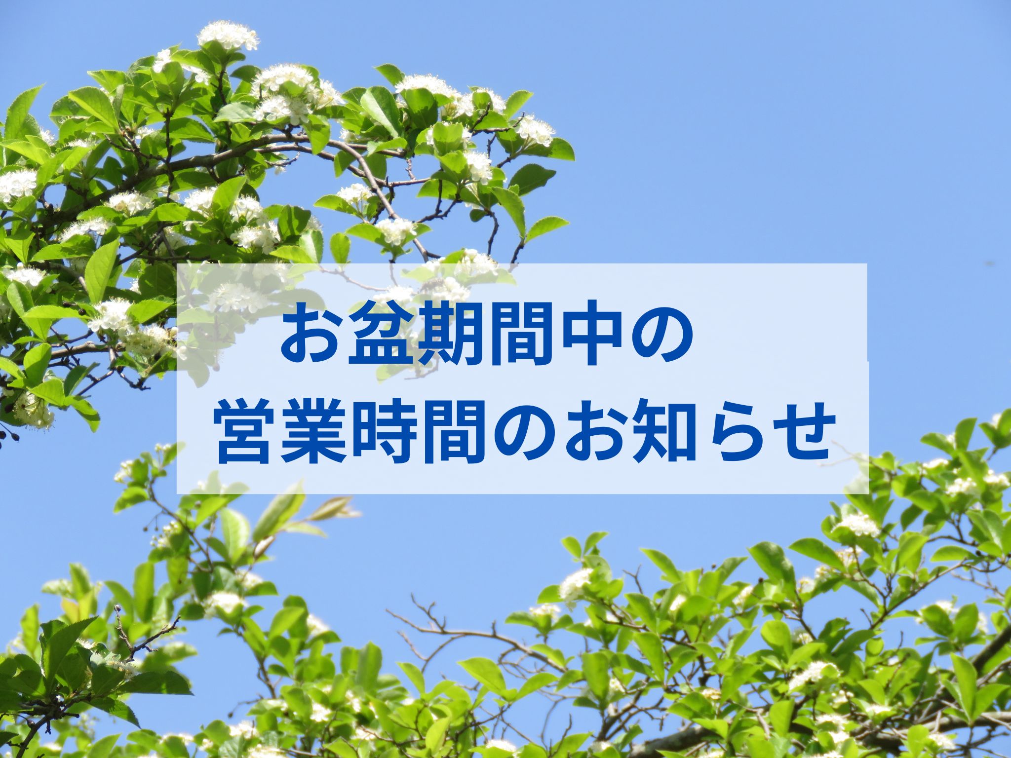 北大津調剤薬局　お盆期間中の営業時間のお知らせ