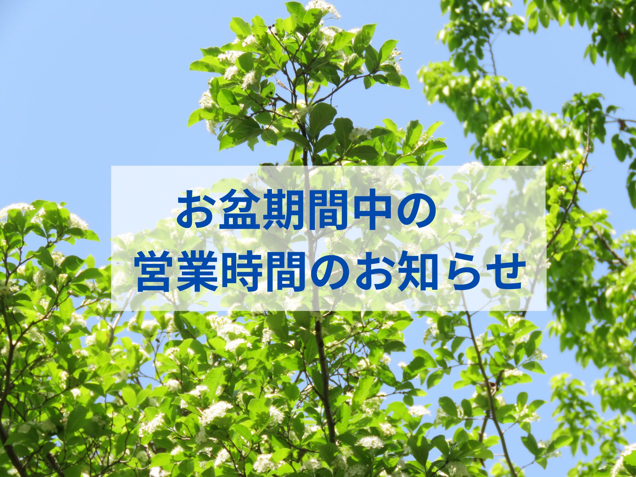 浜大津調剤薬局　お盆期間中の営業時間のお知らせ