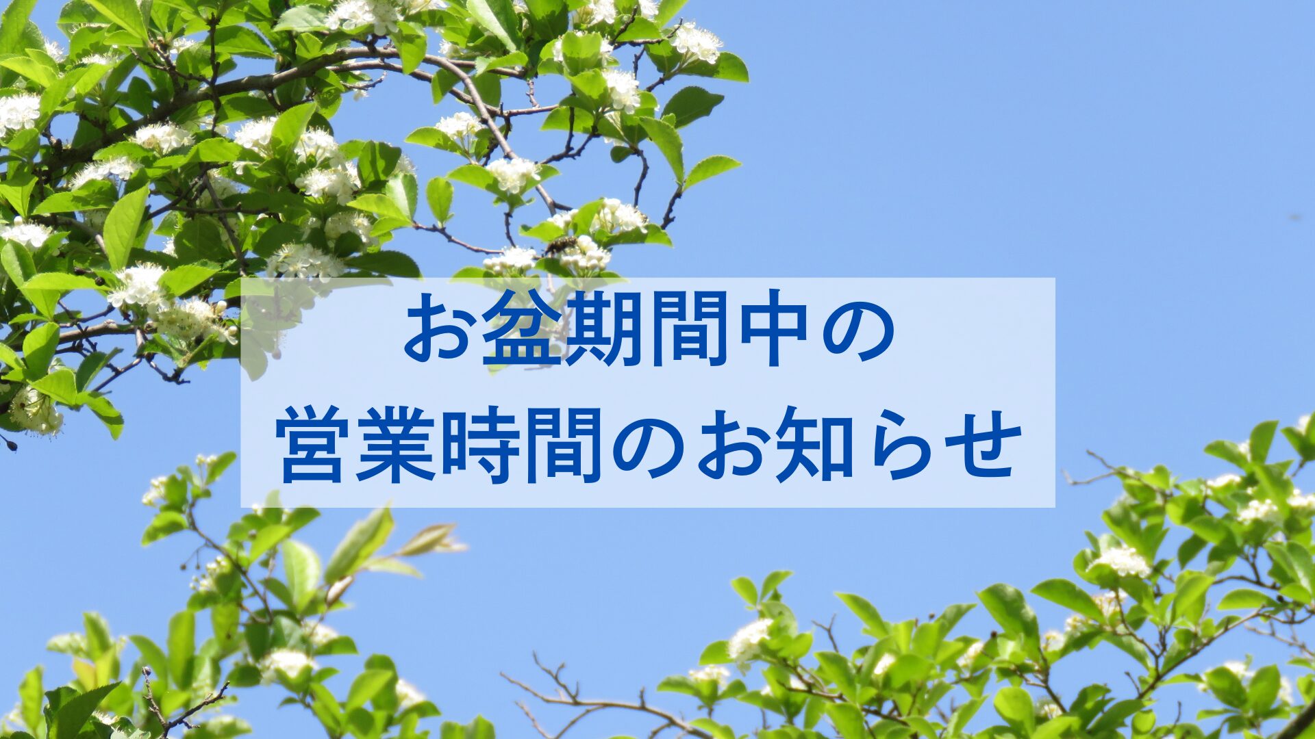 記事